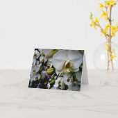 Witte Phalaenopsis Orchidee Notecard Kaart (Gele Bloem)