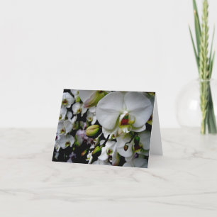 Witte Phalaenopsis Orchidee Notecard Kaart