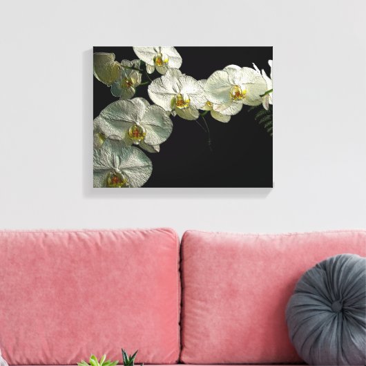 Witte Phalaenopsis Orchidee & Varen - Digitale kun Canvas Afdruk (Insitu (Woonkamer))