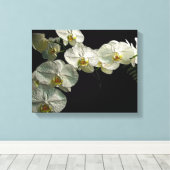 Witte Phalaenopsis Orchidee & Varen - Digitale kun Canvas Afdruk (Insitu (Houten vloer))