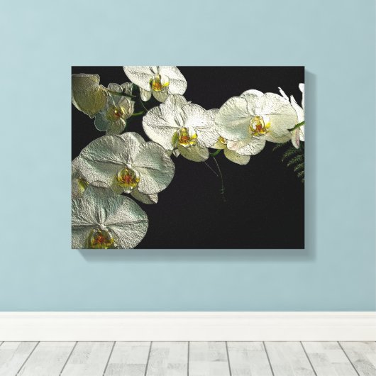 Witte Phalaenopsis Orchidee & Varen - Digitale kun Canvas Afdruk (Insitu (Houten vloer))