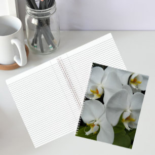 Witte Phalaenopsis Orchideeën Bloem Notebook Notitieboek