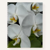 Witte Phalaenopsis Orchideeën Bloem Notebook Notitieboek (Voorkant)