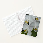 Witte Phalaenopsis Orchideeën Bloem Notebook Notitieboek (Binnen)