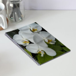 Witte Phalaenopsis Orchideeën Bloemen Notitieboek