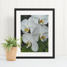 Witte Phalaenopsis Orchideeën Bloemstuk