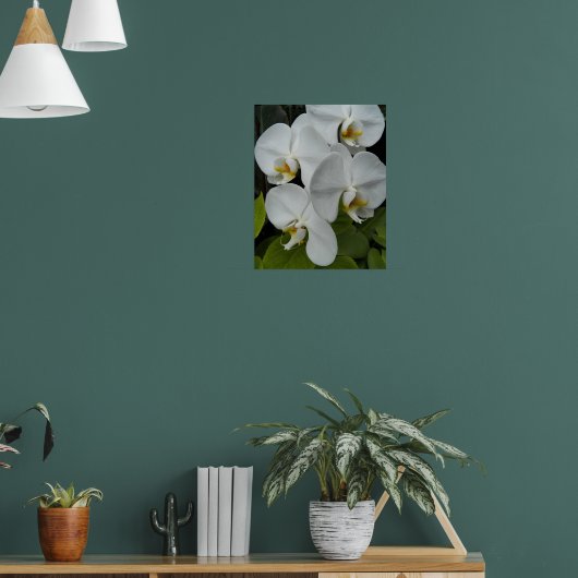 Witte Phalaenopsis Orchideeën Bloemstuk Poster (Woonkamer 1)
