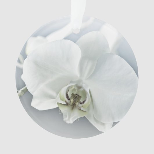 Witte Phaleonopsis Orchidee Ornament (voorkant)
