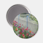 Witte picket hek met tulpen rond magneet (Voorkant / Achterkant)
