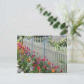 Witte picket omheining met tulpenbriefkaart briefkaart (Staand voorkant)