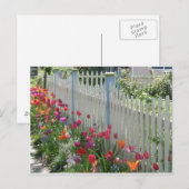 Witte picket omheining met tulpenbriefkaart briefkaart (Voorkant / Achterkant)