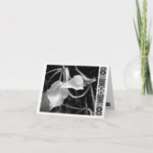 Witte pijlen kaart (Voorkant)