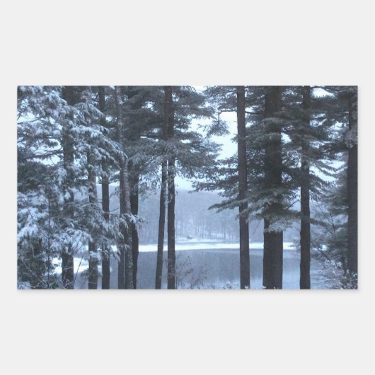 Witte pijnbomen in blauw licht — rechthoekige sticker (Voorkant)