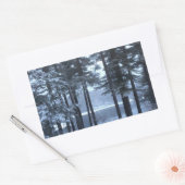 Witte pijnbomen in blauw licht — rechthoekige sticker (Envelop)