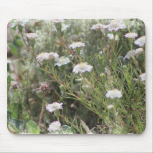 Witte Pincushion Wilde Bloemen Digitale Waterverf Muismat