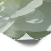 Witte pinda's, foto van bloemen perfect poster (Hoek)