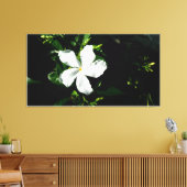 Witte Pinwheel Jasmine in het zonlicht Canvas Afdruk (Insitu (Woonkamer))