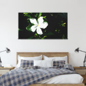 Witte Pinwheel Jasmine in het zonlicht Canvas Afdruk (Insitu (Slaapkamer))