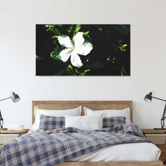 Witte Pinwheel Jasmine in het zonlicht Canvas Afdruk (Insitu (Slaapkamer))
