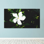 Witte Pinwheel Jasmine in het zonlicht Canvas Afdruk (Insitu (Houten vloer))
