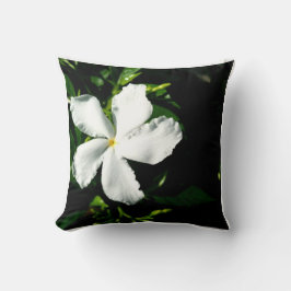 Witte Pinwheel Jasmine in het zonlicht Kussen