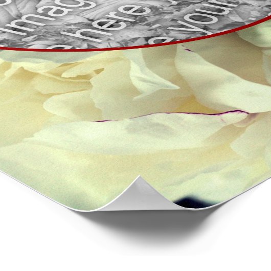 Witte Pioen Bloemblaadjes Maak Je Eigen Foto  Poster (Hoek)