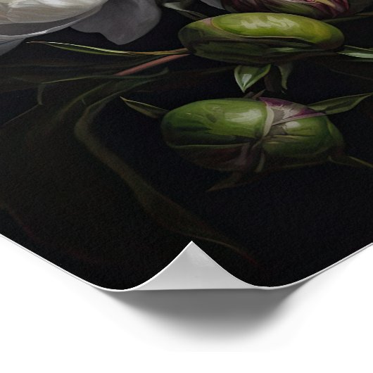 Witte Pioen Bloemen Art Print Poster (Hoek)