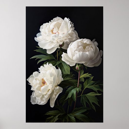 Witte Pioen Bloemen Art Print Poster (Voorkant)