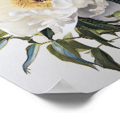 Witte Pioen Bloemen Kunstprint Poster (Hoek)