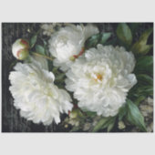 Witte Pioen Bloesem Decoupage Tissuepapier (Voorkant)