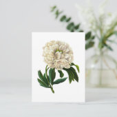 Witte pioen door Pierre Joseph Redoute Briefkaart (Staand voorkant)