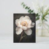 Witte pioen in bloei Botanische schilderkunst Briefkaart (Staand voorkant)