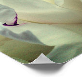 Witte pioen innerlijke vrede Inspirerend Poster (Hoek)