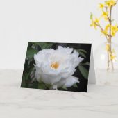 Witte Pioen met Geel in het hart Bloemen Foto Kaart (Gele Bloem)