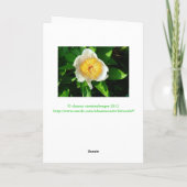 WITTE PIOEN MET GEEL MIDDEN/KERSENHEUVEL PIOEN KAART (Achterkant)