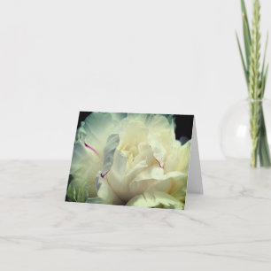 Witte Pioenblaadjes Bloemfotografie Notitiekaartje