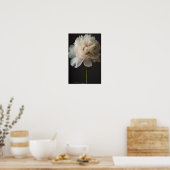 Witte pioenbloem met groene bladeren op donkere ru poster (Keuken)