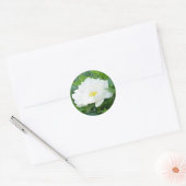 Witte pioenbloem Stickers (Envelop)