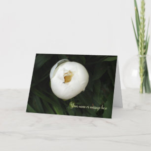 Witte pioenenkaarten kaart