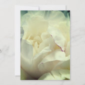 Witte pioenroos bloemblaadjes uitnodiging (Achterkant)