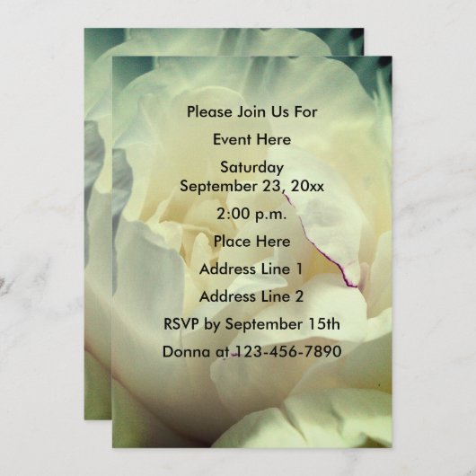 Witte pioenroos bloemblaadjes uitnodiging (Voorkant / Achterkant)