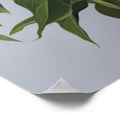 Witte Pioenrozen Bloemen Art Print Poster (Hoek)