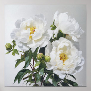 Witte Pioenrozen Bloemen Art Print Poster