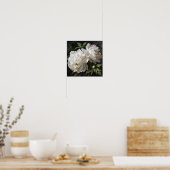 Witte Pioenrozen Bloemen Art Print Poster (Keuken)