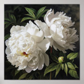 Witte Pioenrozen Bloemen Art Print Poster (Voorkant)