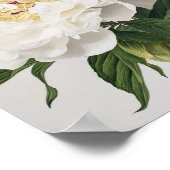 Witte Pioenrozen Bloemen Art Print Poster (Hoek)