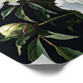 Witte Pioenrozen Bloemen Art Print Poster (Hoek)