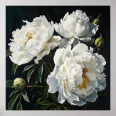 Witte Pioenrozen Bloemen Art Print Poster (Voorkant)