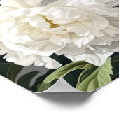 Witte Pioenrozen Bloemen Art Print Poster (Hoek)