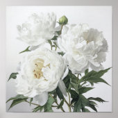 Witte Pioenrozen Bloemen Art Print Poster (Voorkant)